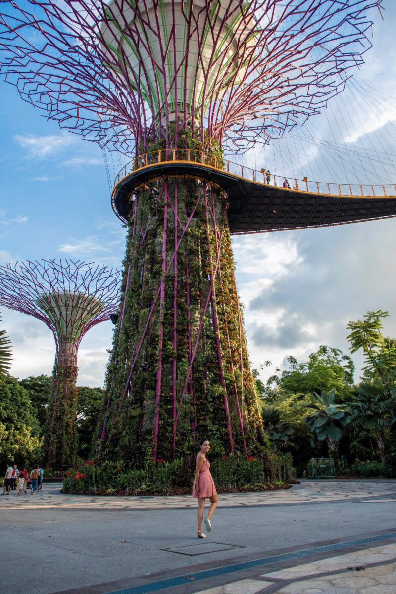 Gardens by the bay, Singapore