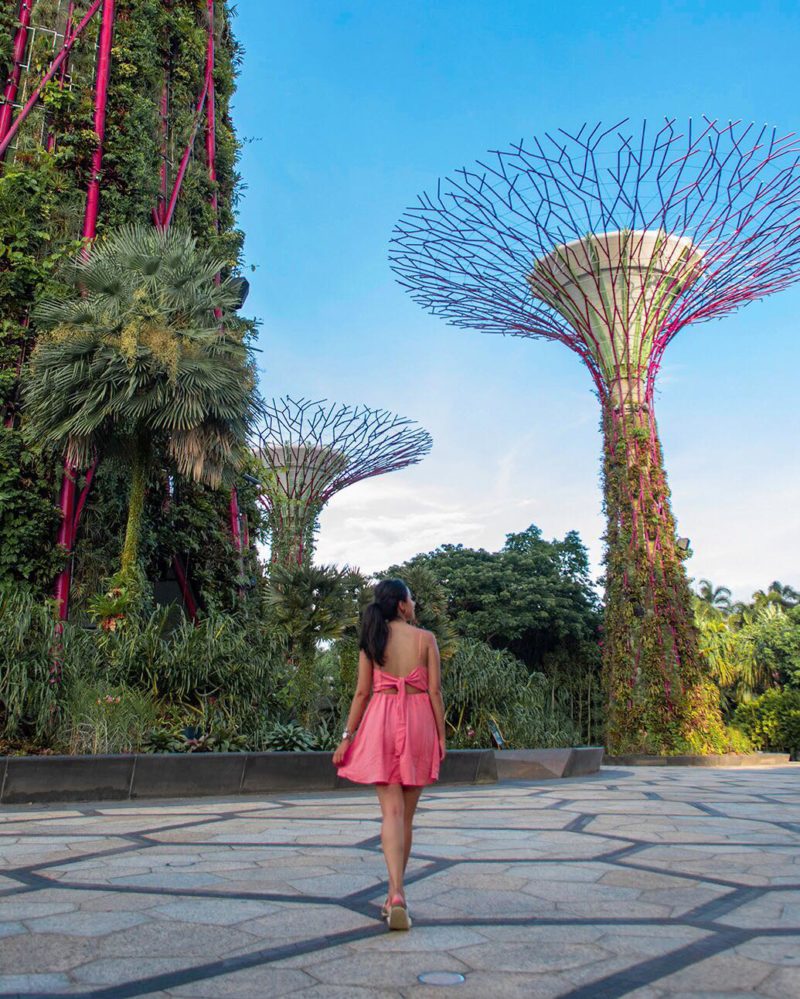 Gardens by the Bay, Singapore